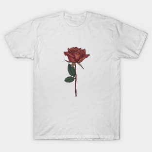 Vintage Rose T-Shirt